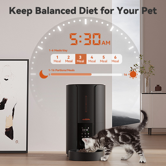 WOpet Automatic Pet Feeder Timed Cat & Dog Food Dispenser 5L丨Castle