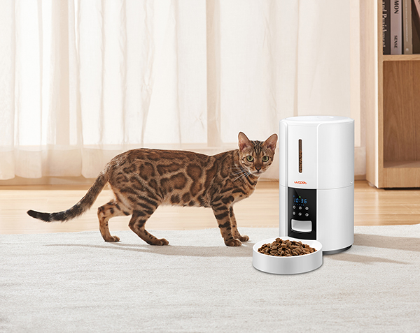 wopet castle automatic cat feeder