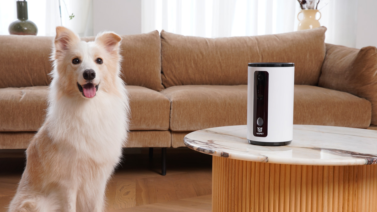 Wopet Interactive Dog Treat Camera and Treat Dispenser Toy WiFi | Guardian