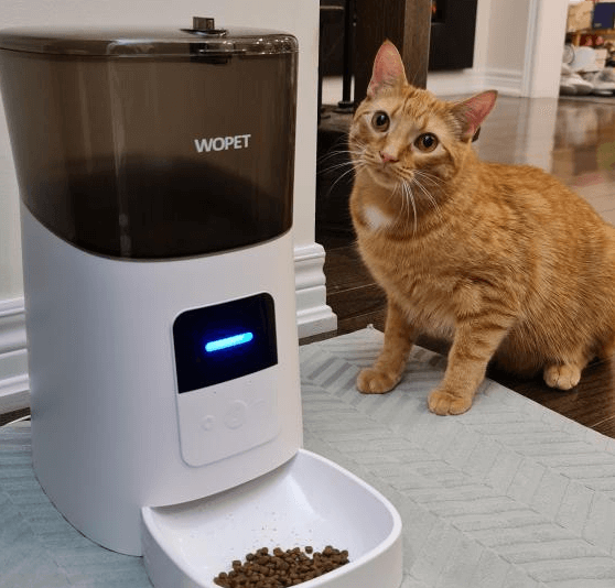 wopet cat dog smart feeder