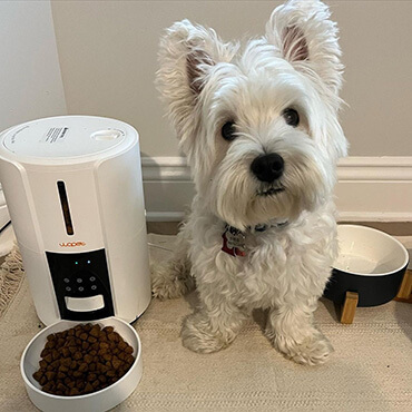 wopet castle pet smart feeder