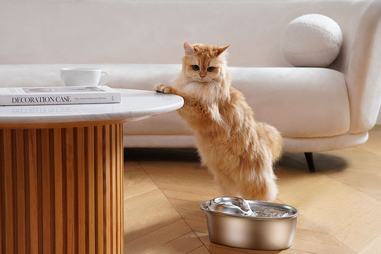 wopet stainless steel pet water fountain