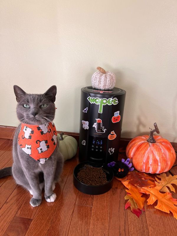 wopet halloween gifts for pets