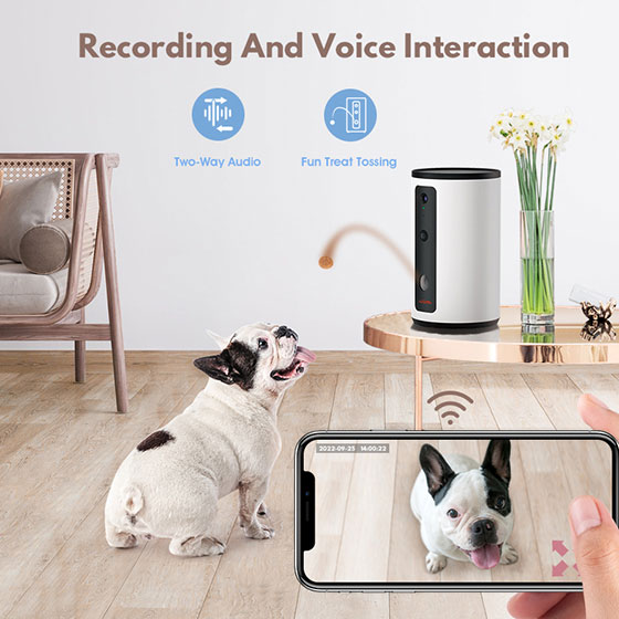 WOpet Interactive Dog Treat Camera And Treat Dispenser Toy WiFi丨Guardian