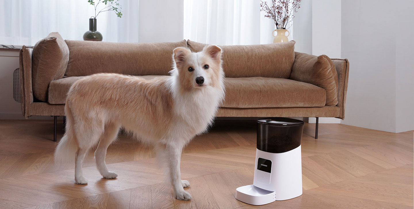 WOpet Automatic Pet Feeder WiFi Cat Feeder Remote Control丨Patrol