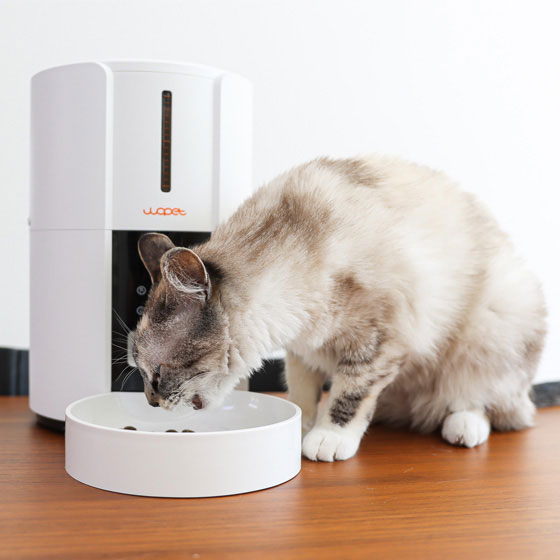wopet automatic feeder for cats
