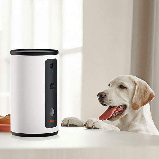 WOpet Dog Treat Camera Dispenser Dog Camera with Treat Interactive Toy丨Guardian