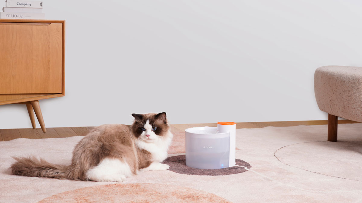 wopet automatic cat water fountain