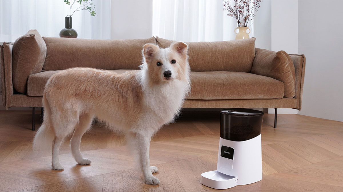 WOpet Automatic Pet Feeder WiFi App Remote Control