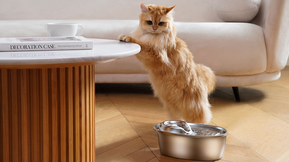 wopet stainless steel cat water fountain
