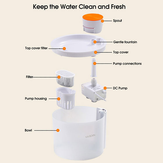 WOpet Pet Water Fountain Ultra Silent Water Dispenser With LED Light丨Glitter