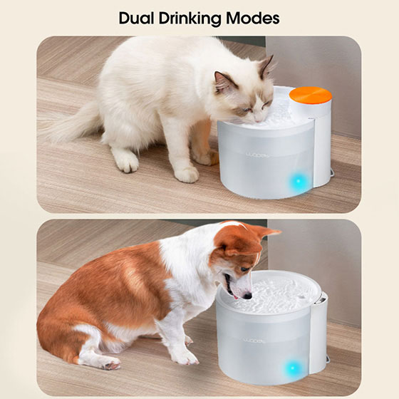 WOpet Pet Water Fountain Cat Water Dispenser With LED Light丨Glitter