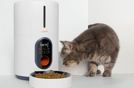 Try to Use Automatic Pet Feeder to Instead of Free Feeding