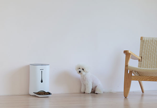 automatic pet feeder is helpful