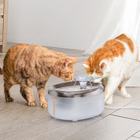 Bloom Pet Water Fountain