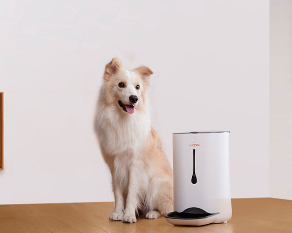 wopet automatic pet feeder camera