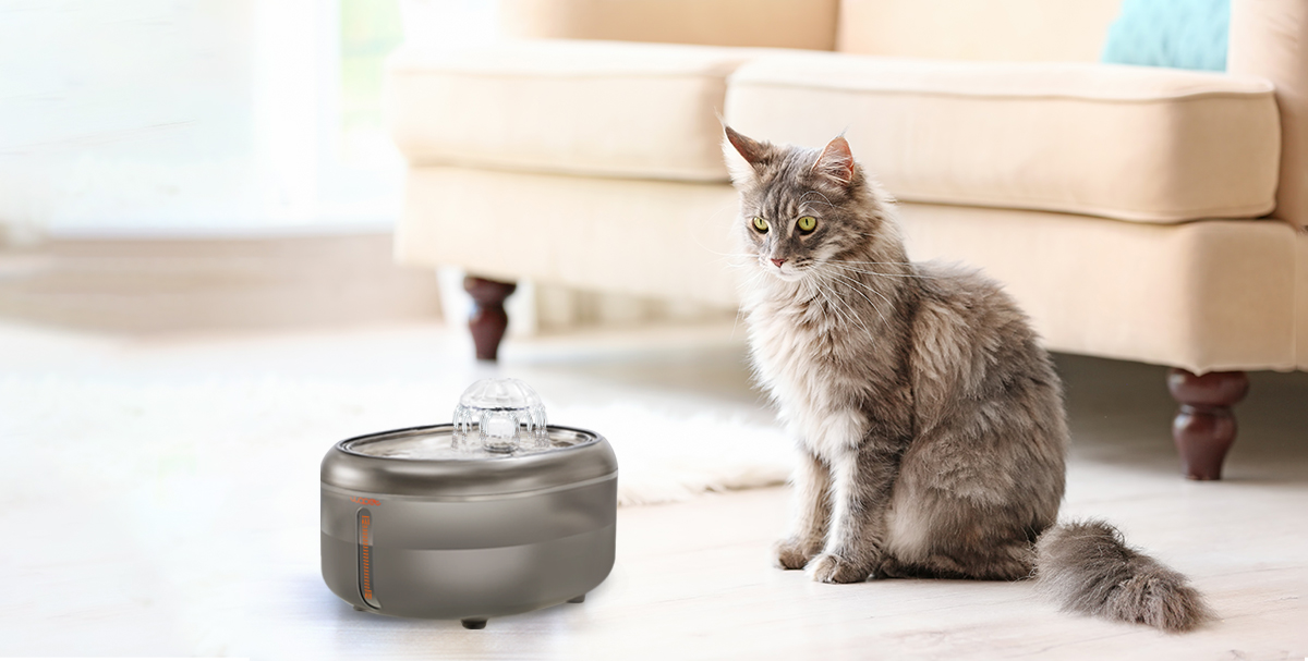 WOpet Cat Water Fountain & Dog Water Dispenser