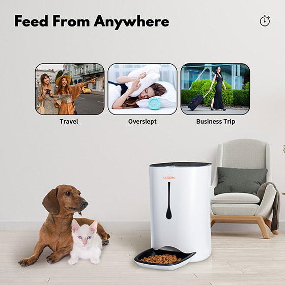 WOpet Automatic Cat & Dog Timer Feeder Pet Food Dispenser丨Pioneer