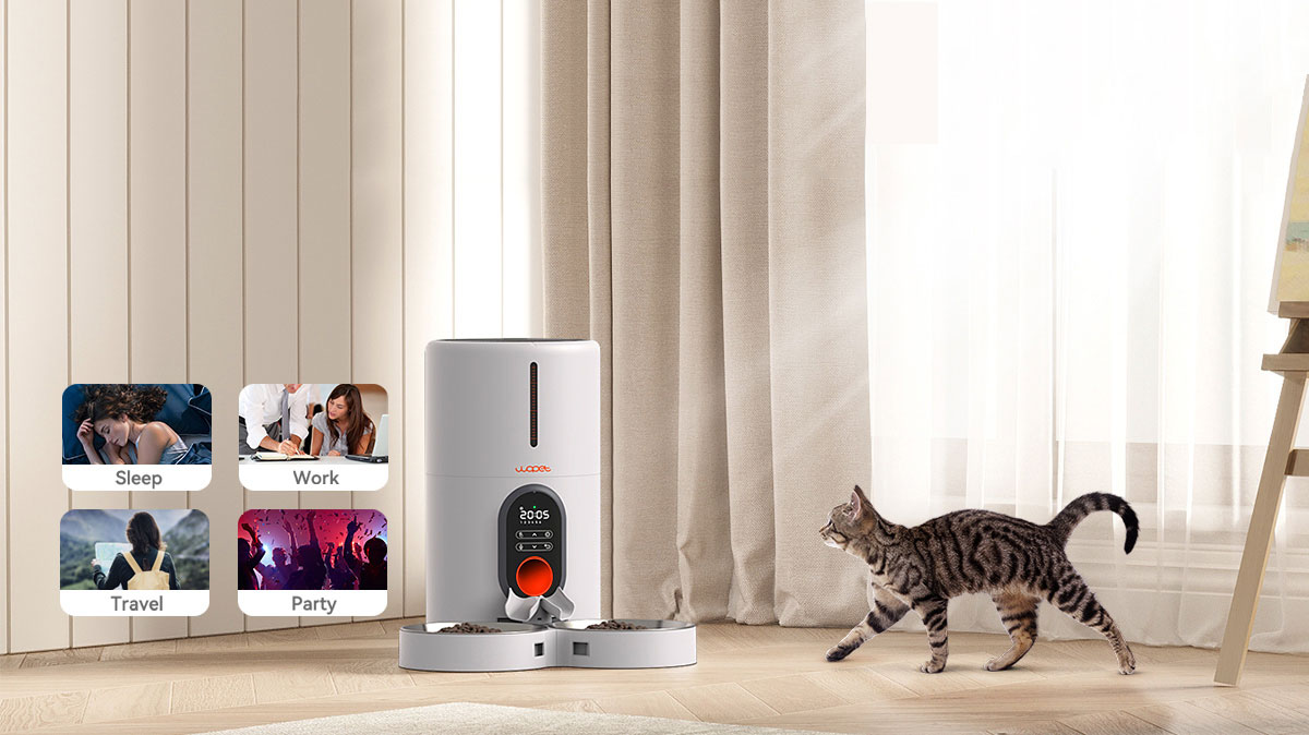 wopet automatic pet feeder for two cats