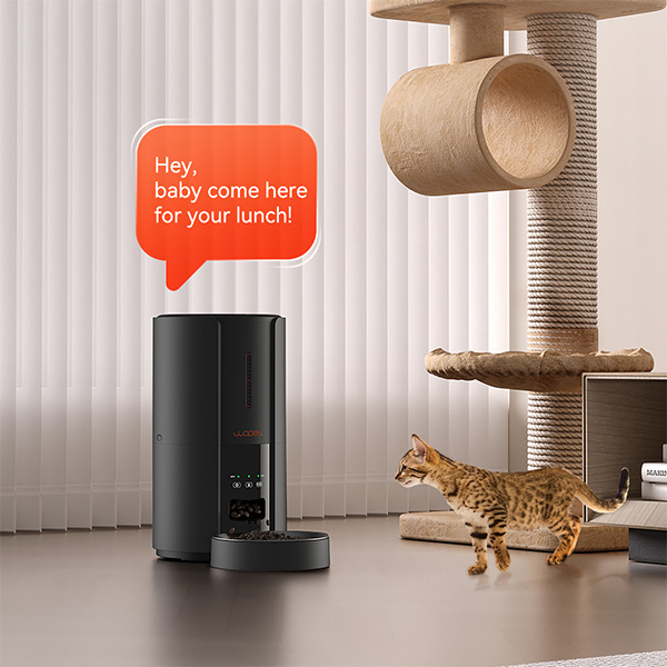 wopet wifi cat feeder meal call