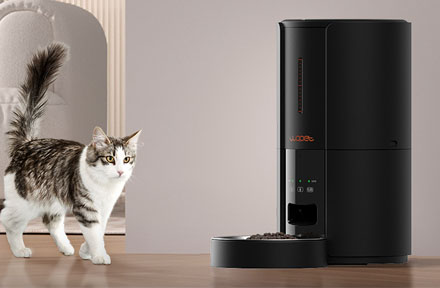 Can I Leave My Cats Alone for A Week with An Auto Cat Feeder?