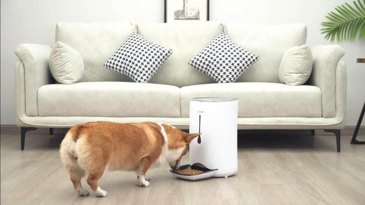 Review: WOpet Sprite Automatic Cat and Dog Feeder