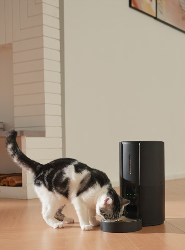 WOpet Automatic Pet Feeder WiFi Cat Feeder with Remote Control