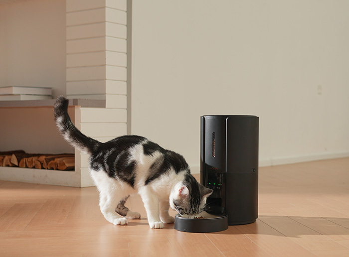 wopet automatic pet feeder