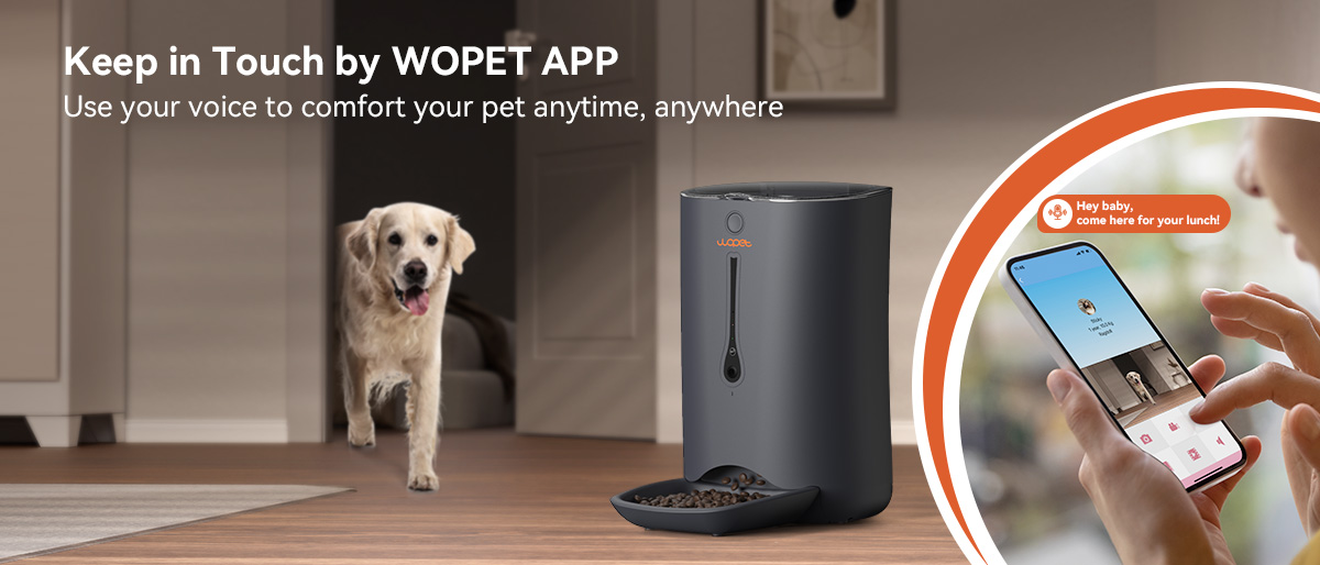 Voovpet Automatic Pet Feeder, Interactive Dog Toys, Dog Food