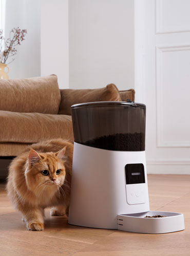 Automatic Timed Feeder Designed for Cats and Dogs