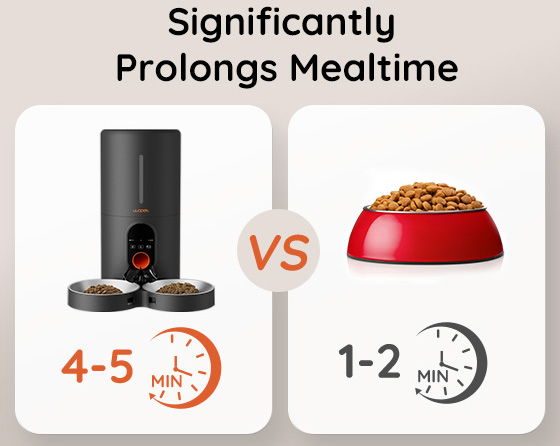 pet slow feeder prolong mealtime