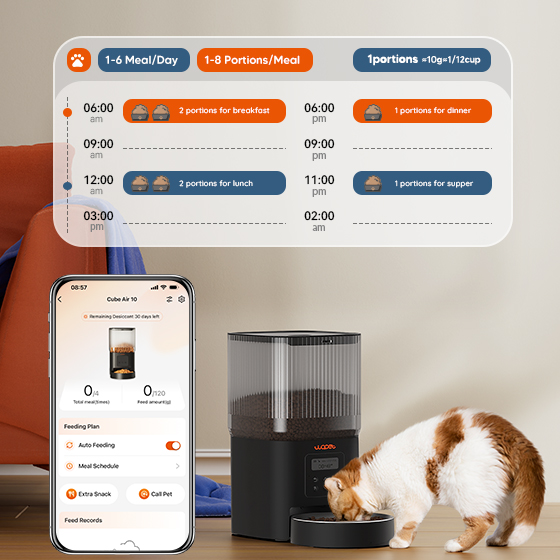 wopet wifi cat feeder with app control