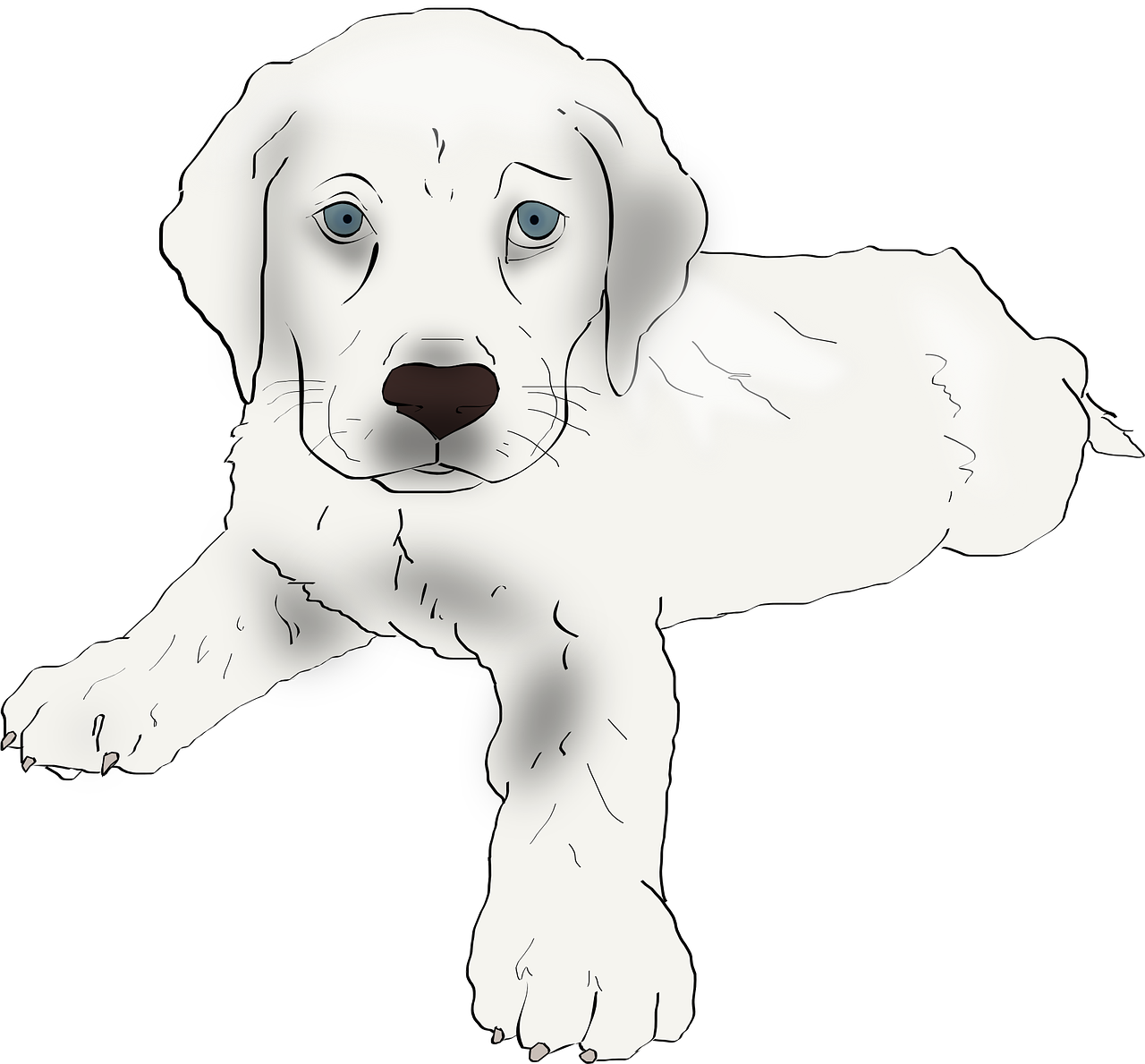 10 Best Dog Breeds for First-Time Owners