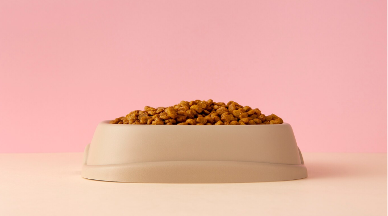 How Long Does Dry Cat Food Last Once Opened? A Comprehensive Guide