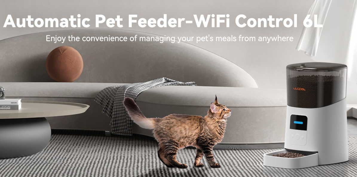Are You Storing Your Cat's Food Correctly? Common Mistakes to Avoid