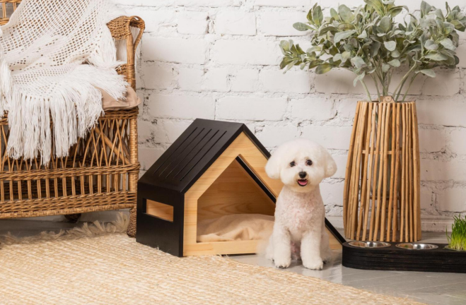 How to Prepare Your Home for Your Pet While You're Away
