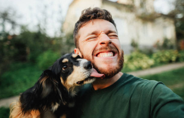 heat cycle in female dogs