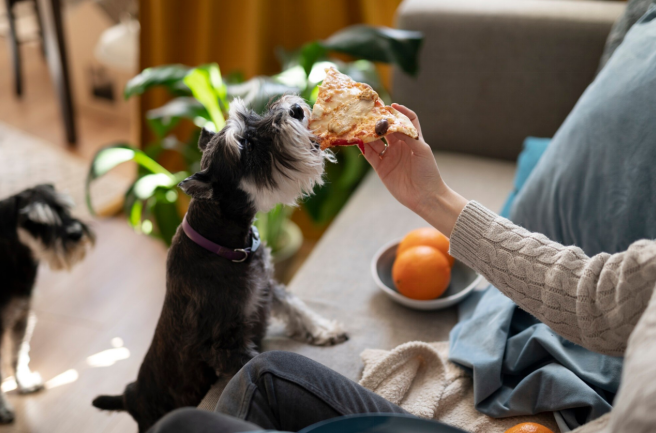 dog eating pizza