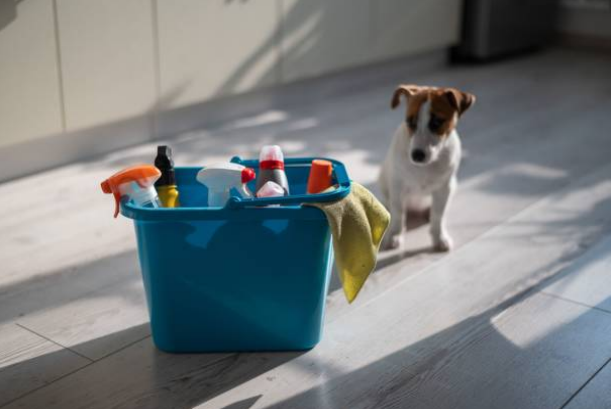 what odors do dogs hate