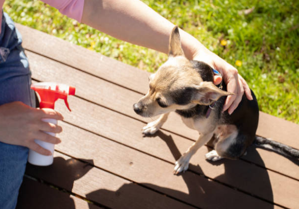 different types of household smells dogs hate