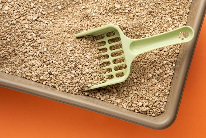 cat litter box