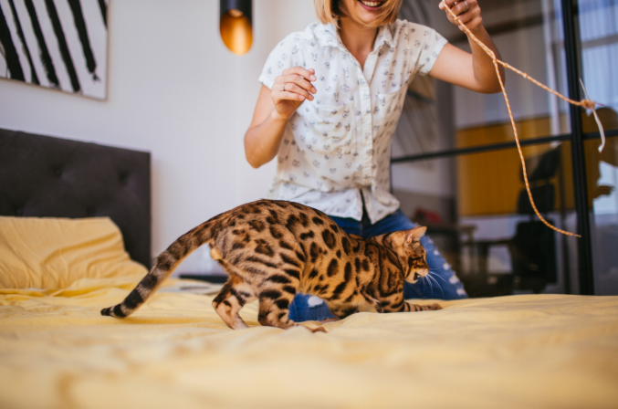 women playing with cat