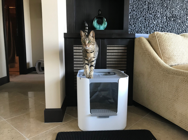 modkat xl litter box