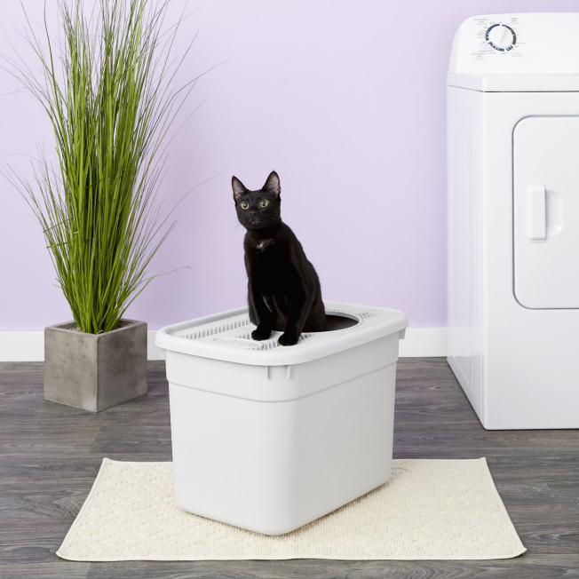 clevercat top-entry litter box