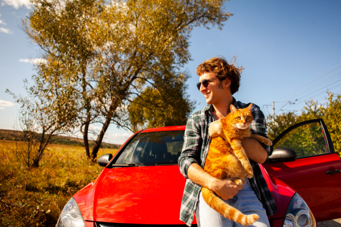 travel with a cat