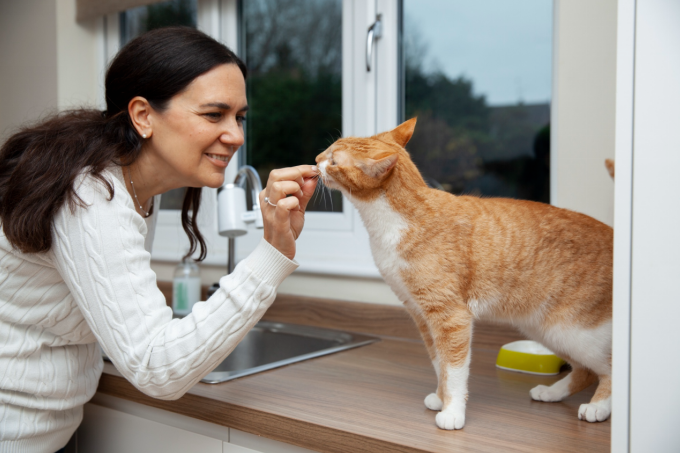 women taking care of cat