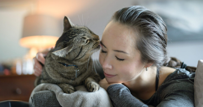 a cat kissing her owner