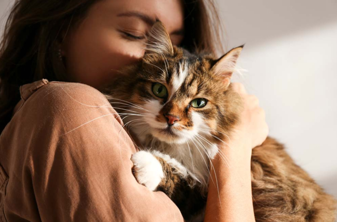 Does My Cat Know I Love Her? Easy Ways to Find Out