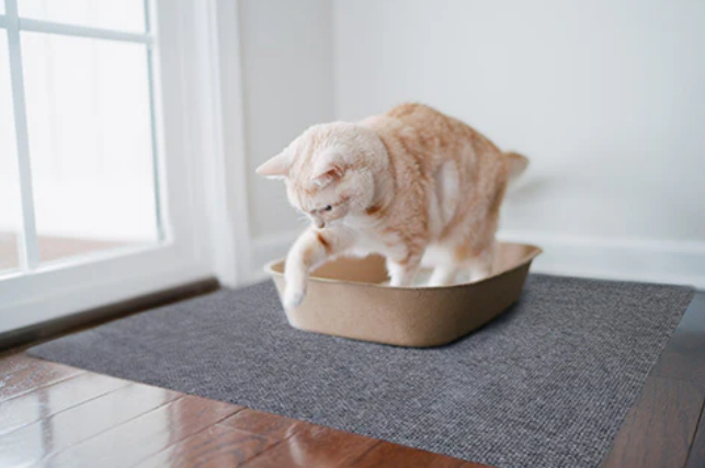 A light orange tabby cat steps out of a litter box onto a litter mat
