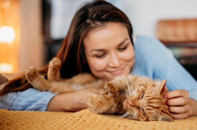 Do Cats Like Heating Pads? Warmth, Comfort, and Safety Tips